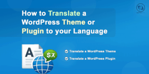 How to Translate a WordPress Theme or Plugin to your Language